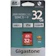 GIGASTONE SDHCカード 1