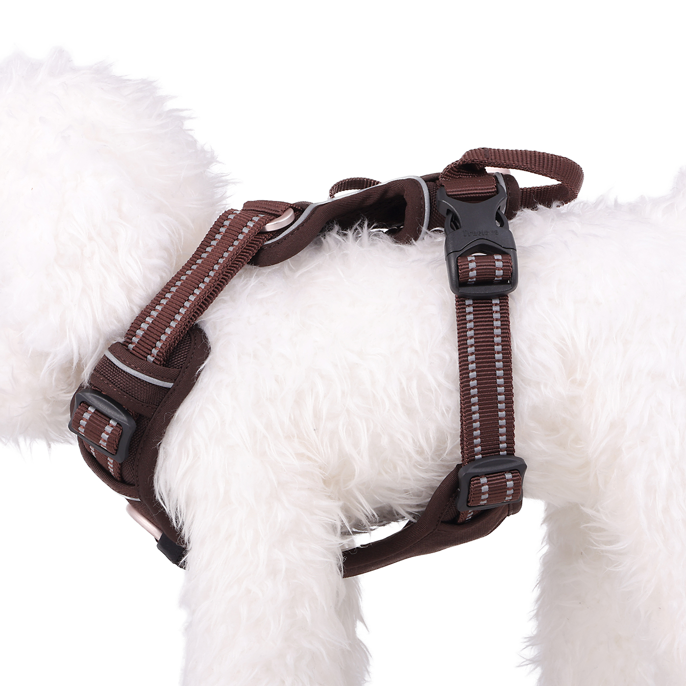 犬用ハーネス 5
