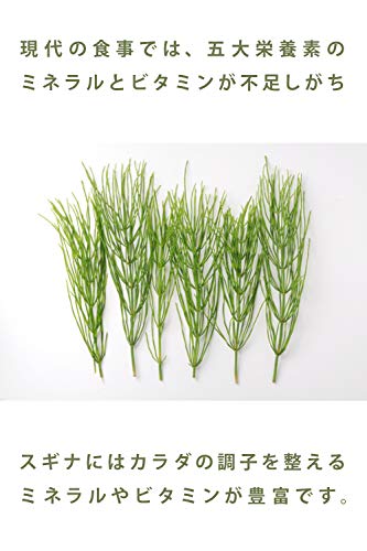 湯布院産 無農薬 すぎな茶 4