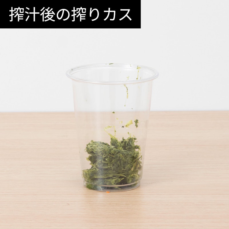 低速ジューサー 13