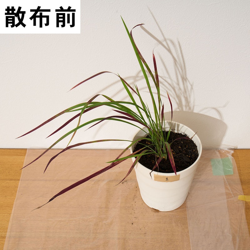 速効除草剤 13