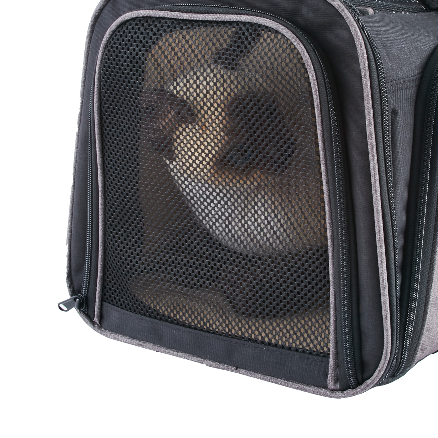 サンアール Animary ペットキャリー バッグをレビュー！クチコミ・評判