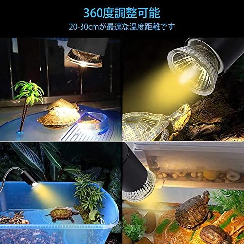 爬虫類ライト 6