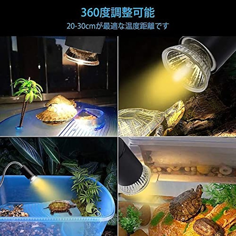 爬虫類ライト 6