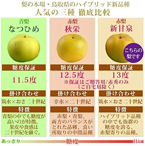 鳥取県産梨 新甘泉 3
