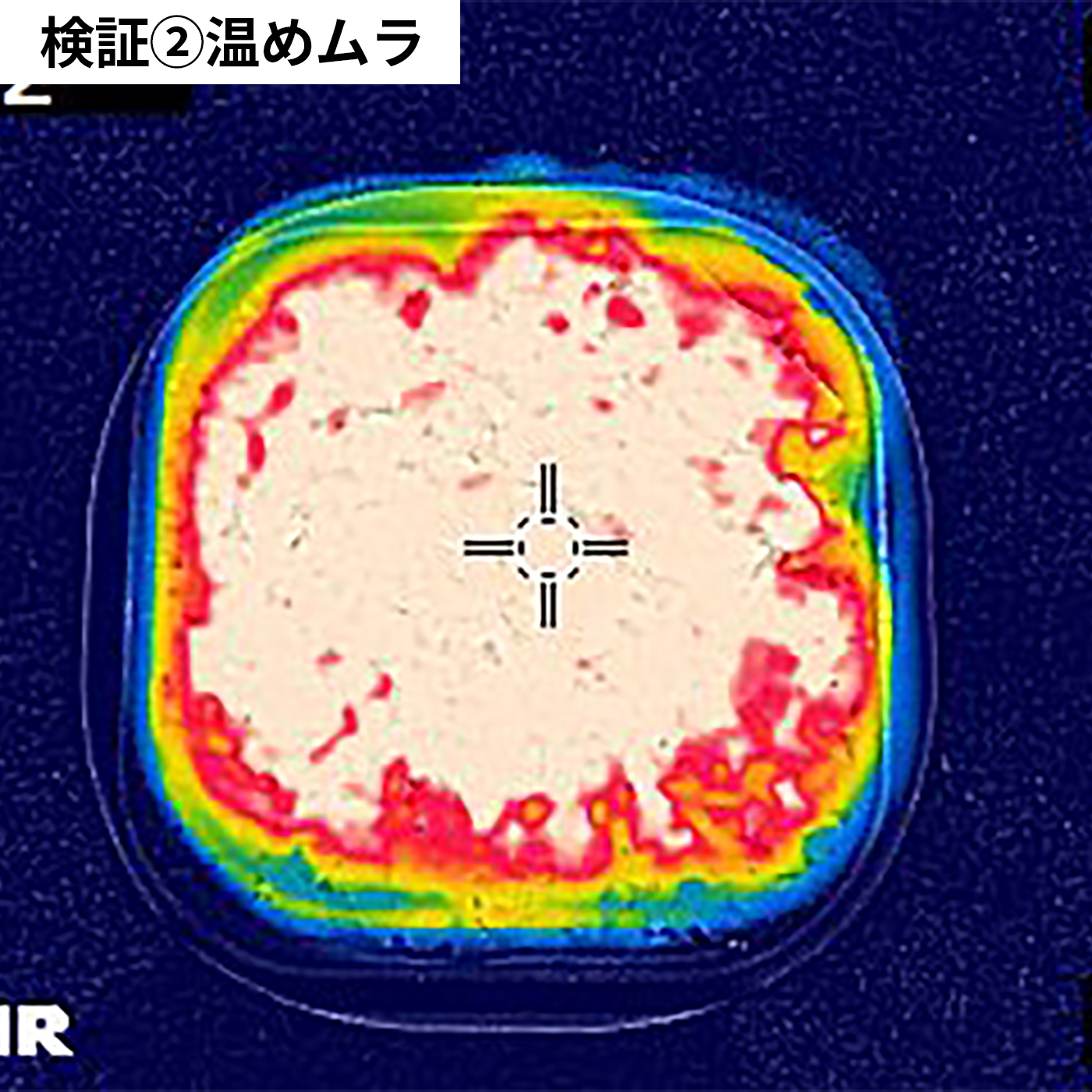極 冷凍ごはん容器 7