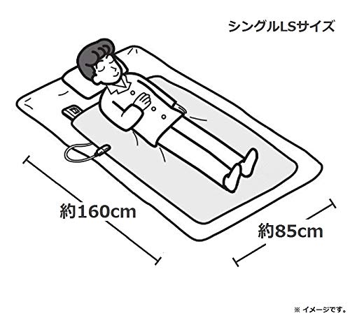 電気しき毛布 1