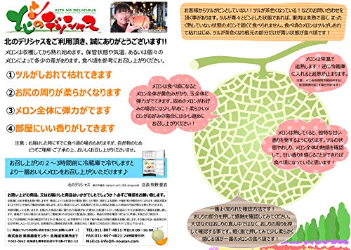 富良野メロン 3