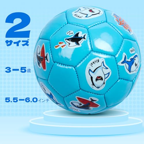 サッカーボール 2