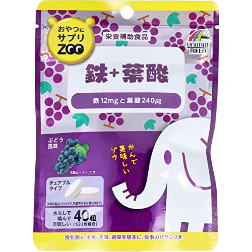 鉄+葉酸 1