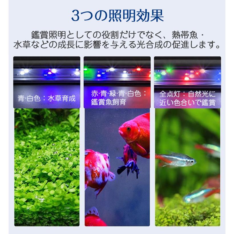 水槽ライト 4