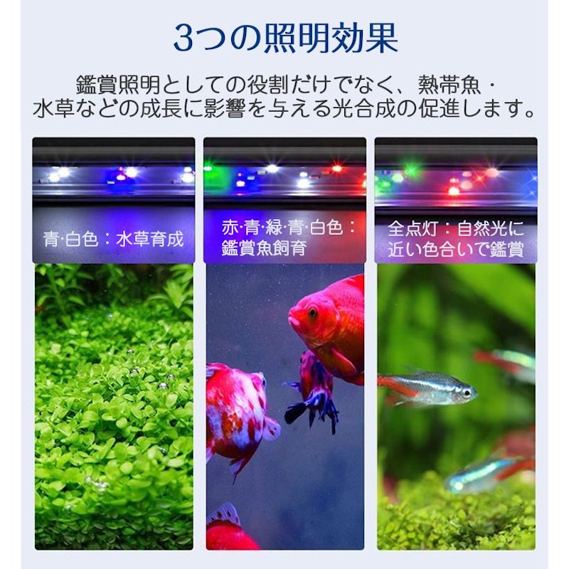 水槽ライト 4