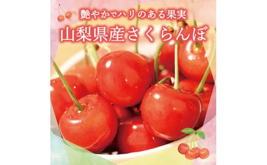4回お届けフルーツ定期便 4