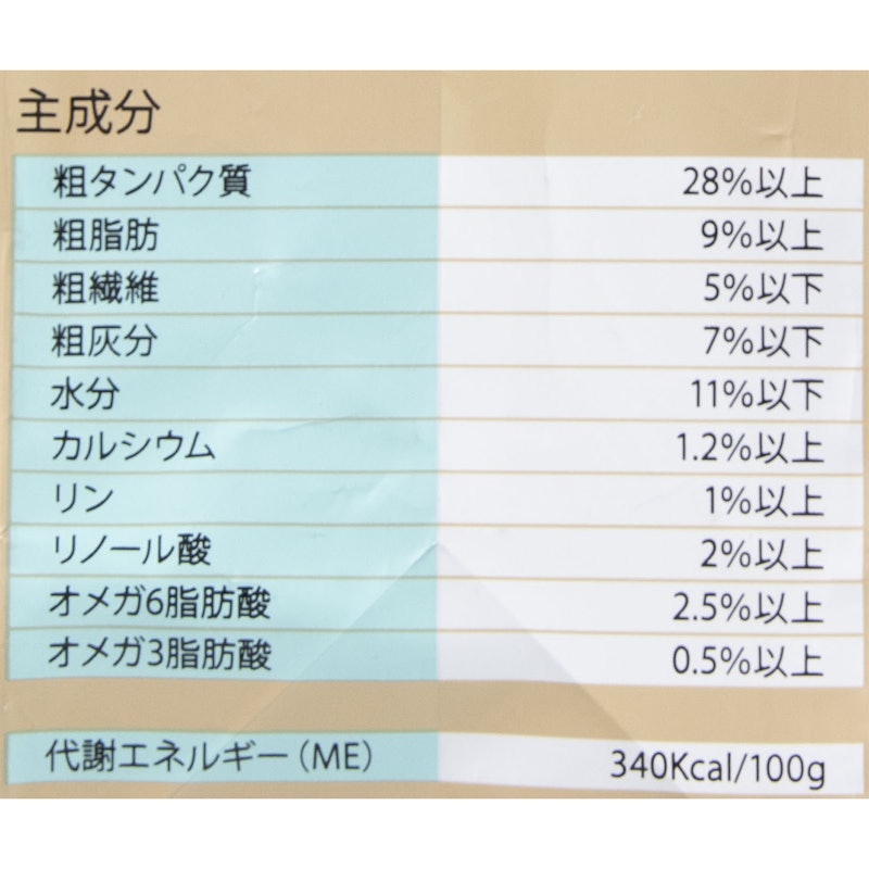 グレヴィレア・アダルト 3