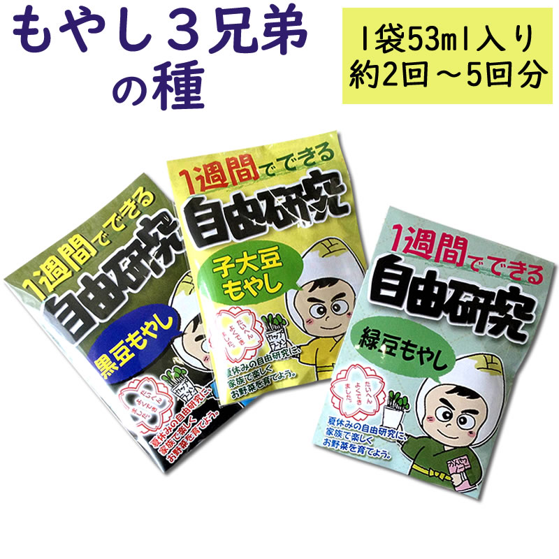 小学生向け夏休み自由研究キットのおすすめ人気ランキング5選【2024年