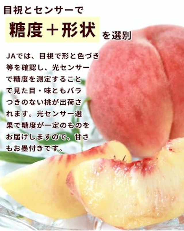 ミスピーチ 秀 3