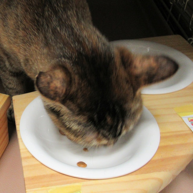 アイムス インドアキャット チキンを全30商品と比較 口コミや評判を実際に使ってレビューしました Mybest