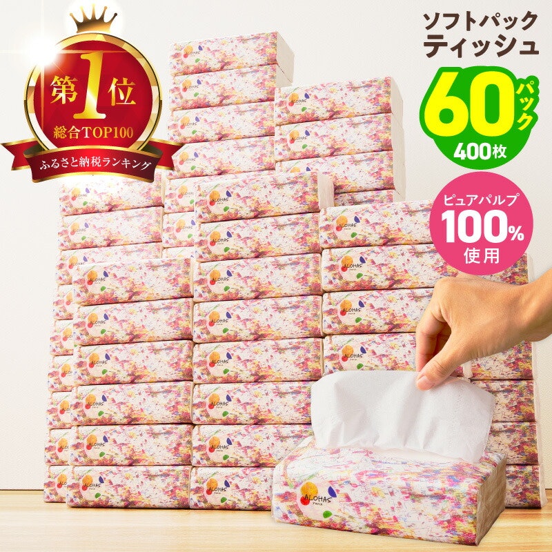 ソフトパックティッシュ 60パック 1