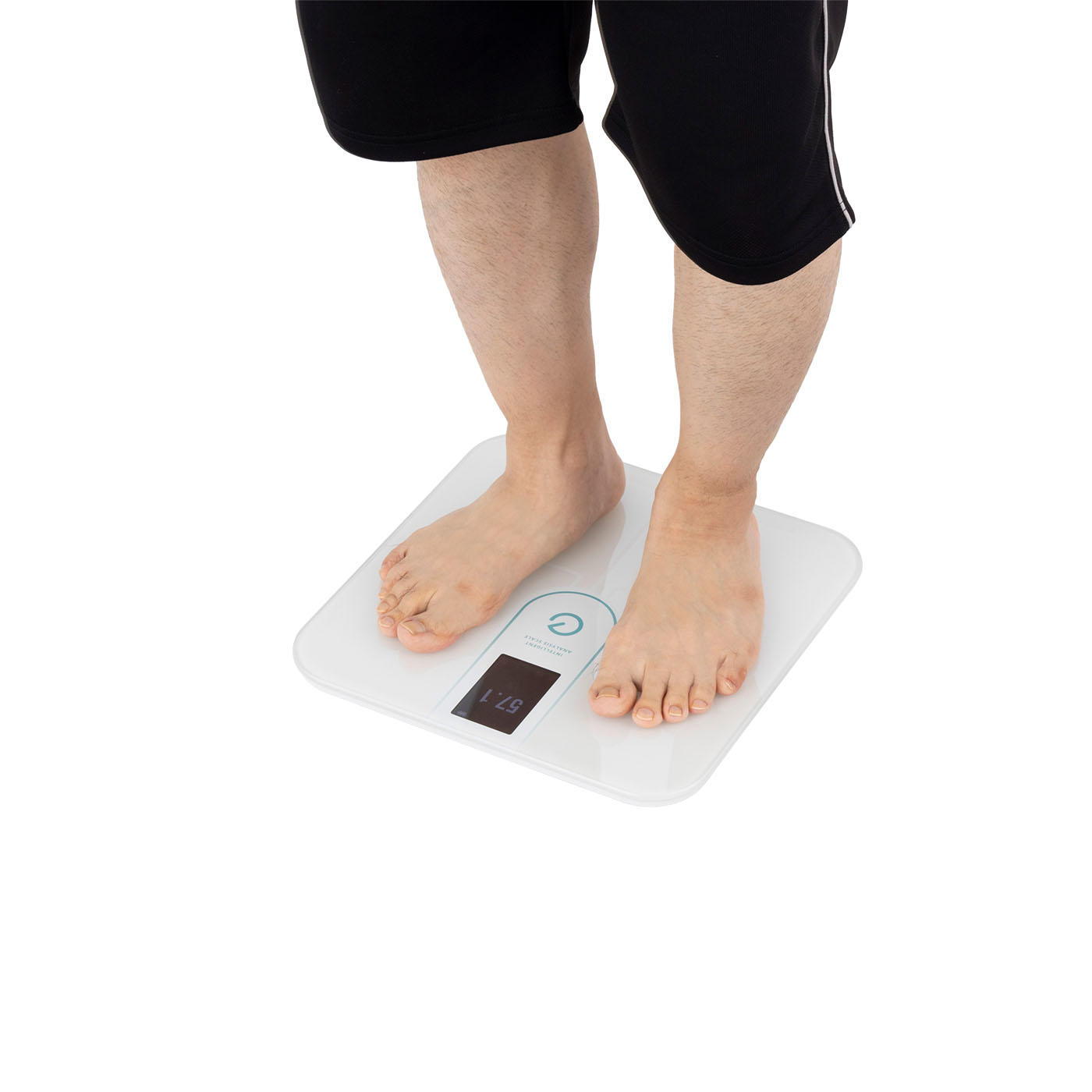 Anker Smart Scale P3 T9150N21を検証レビュー！体重計・体組成計の