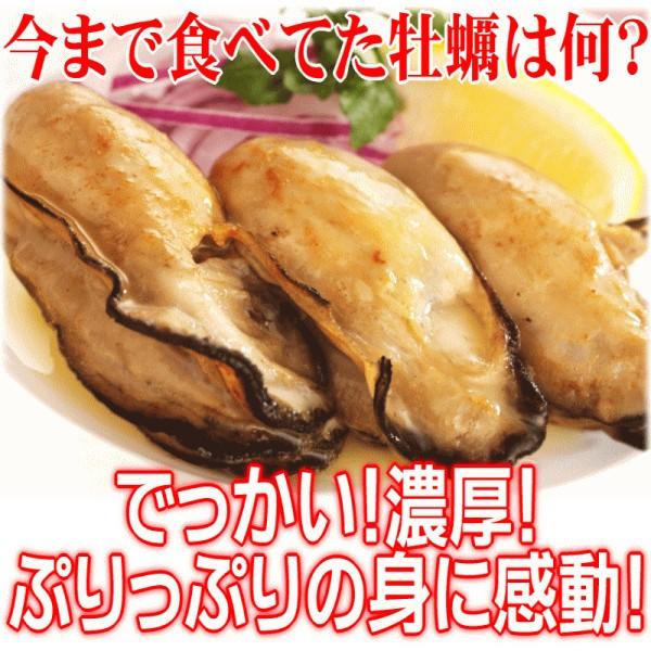  牡蠣 3