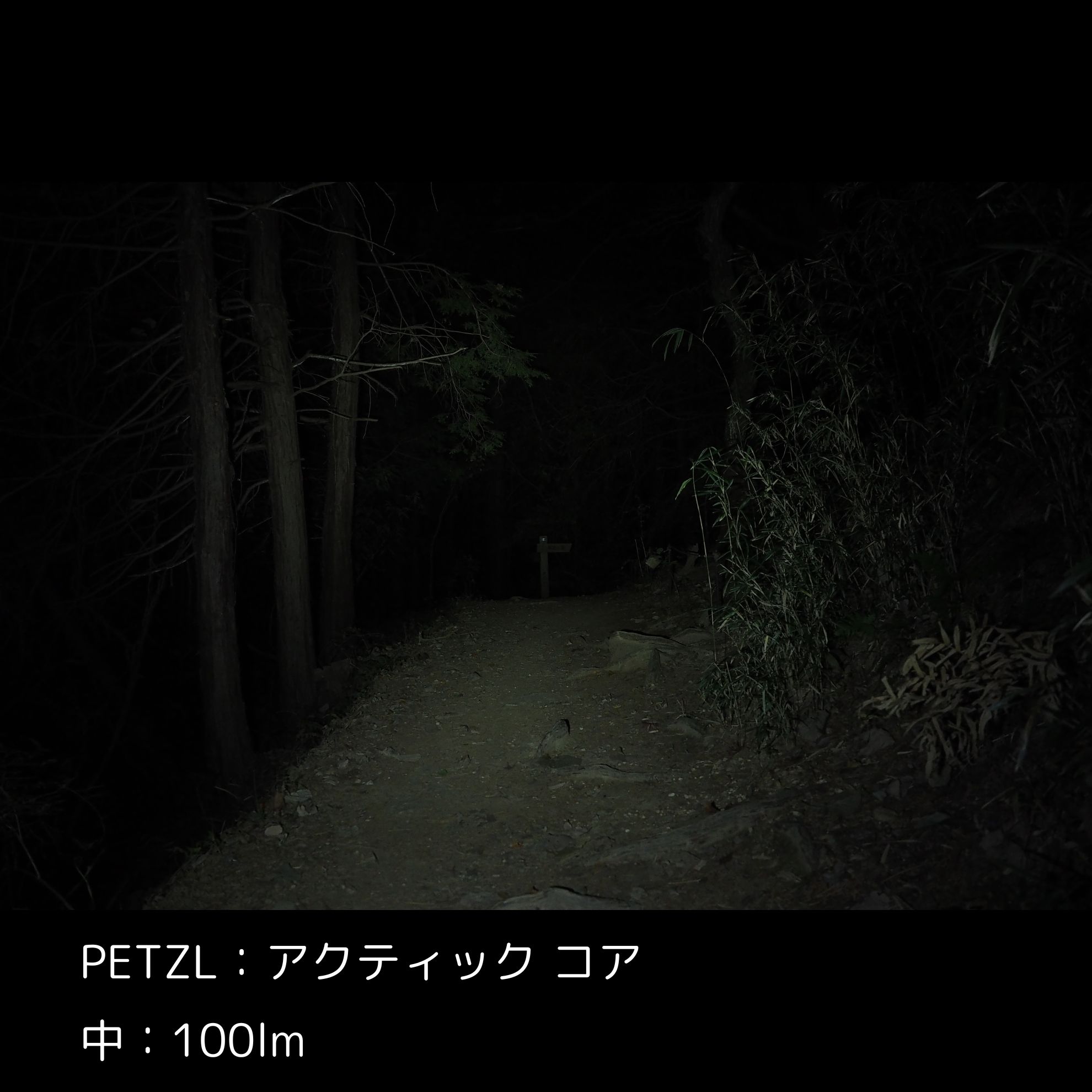アクティック コア 3