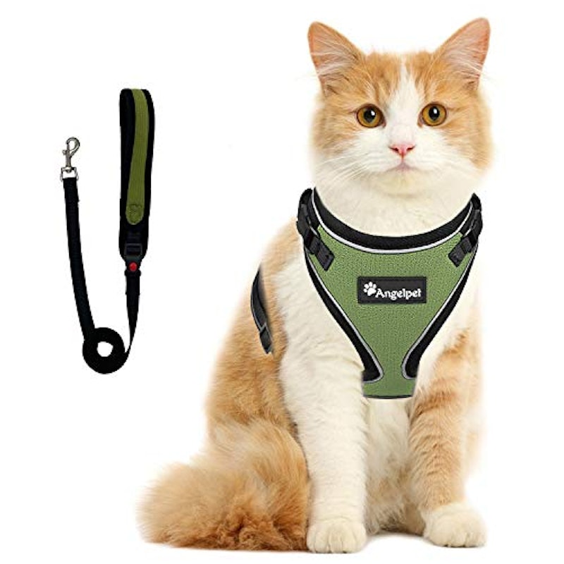 22年 猫用ハーネスのおすすめ人気ランキング25選 Mybest 22年 猫用ハーネスのおすすめ人気ランキング25選 Mybest
