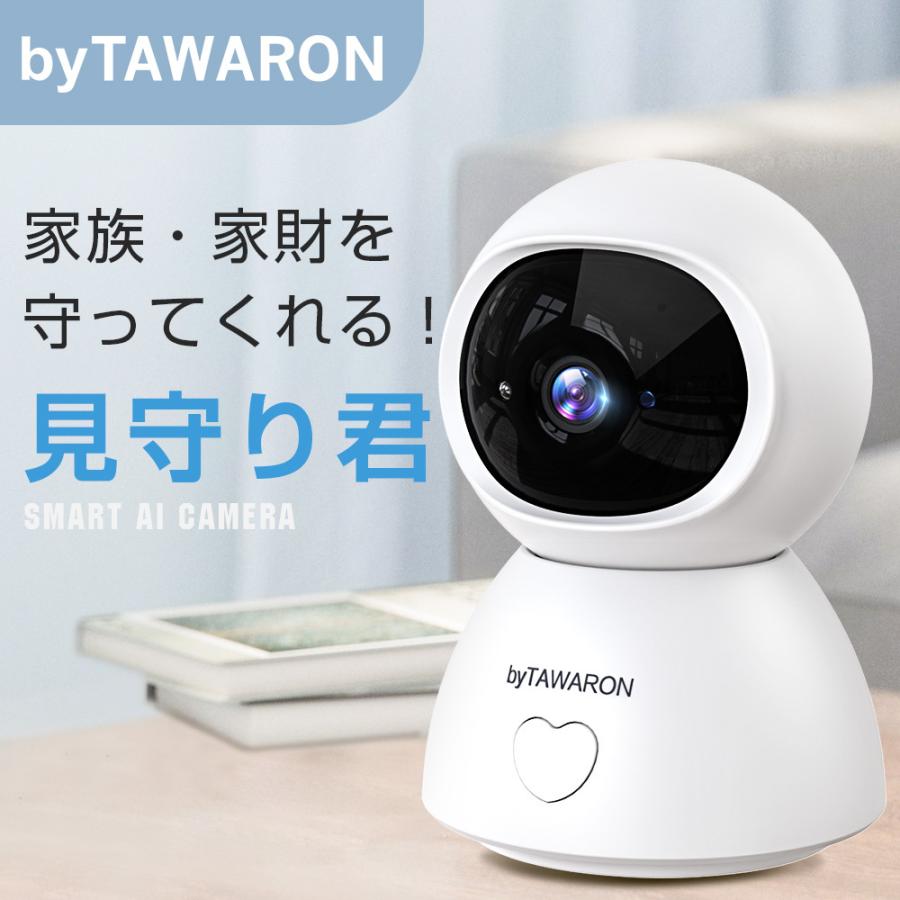 監視カメラ 1