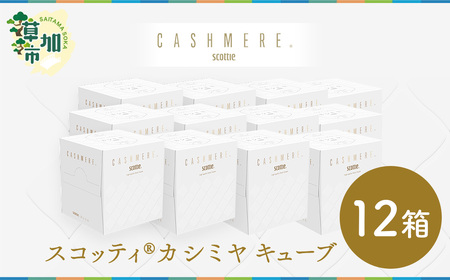 スコッティ カシミヤ キューブ 1
