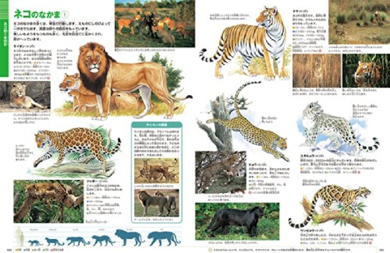 小学館の図鑑NEO 動物 3