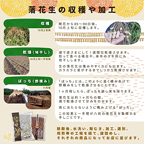 千葉県八街産 素煎り落花生 8
