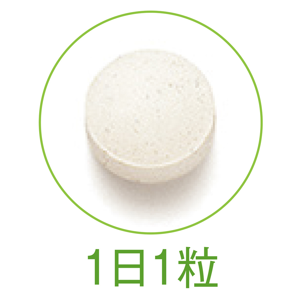 楽ひざ 2