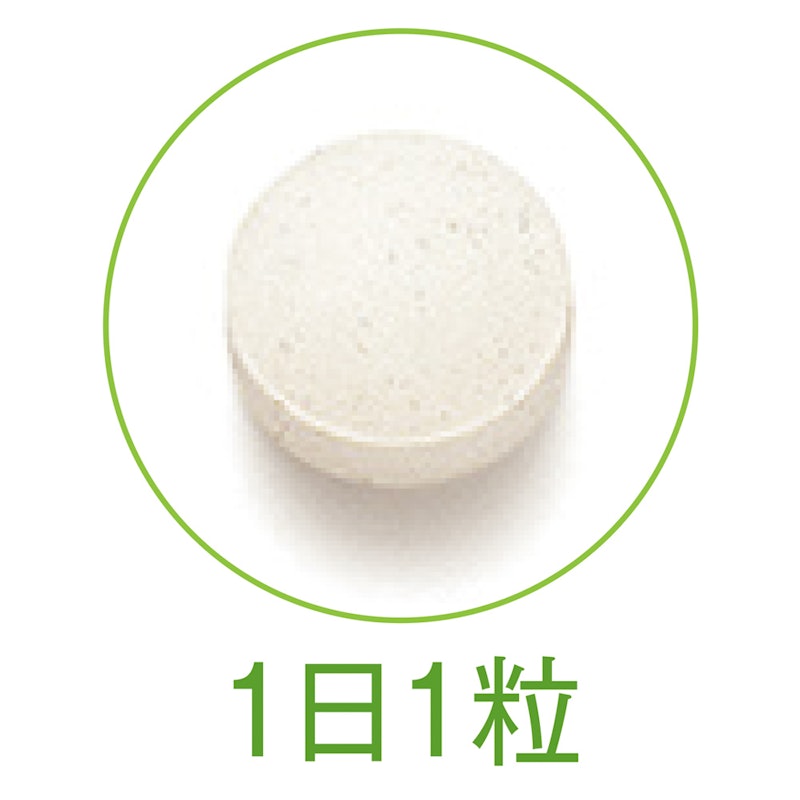 楽ひざ 2