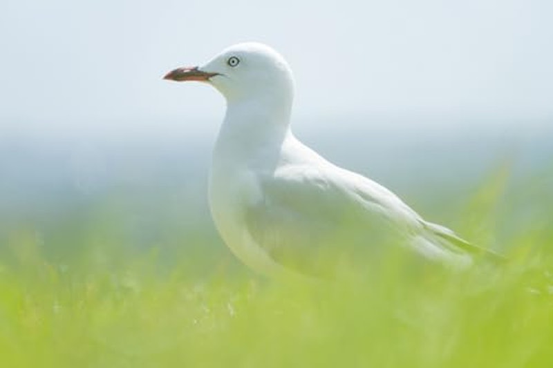 28-300mm F/4-7.1 Di III VC VXD 4