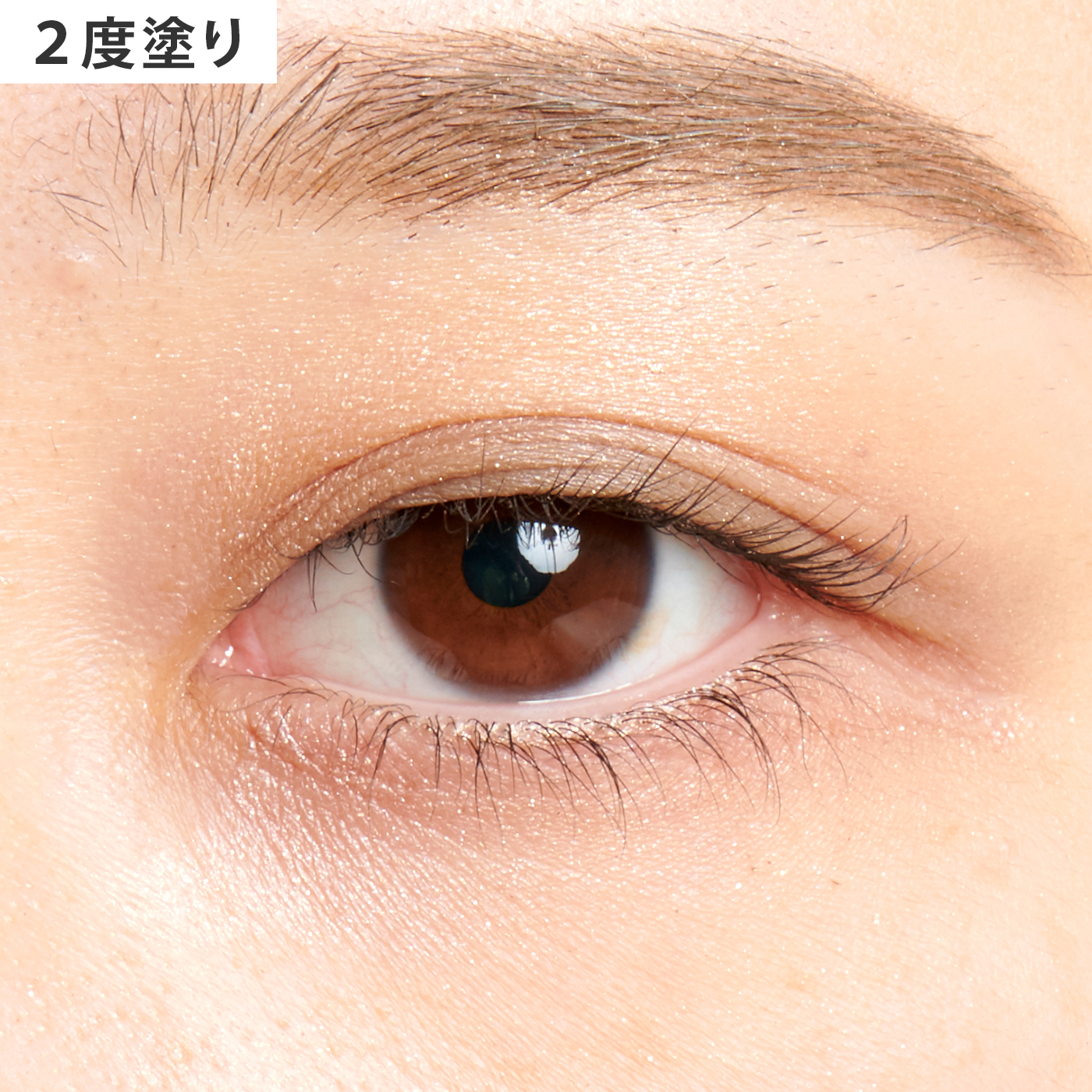 ブラシひと塗りシャドウN 6