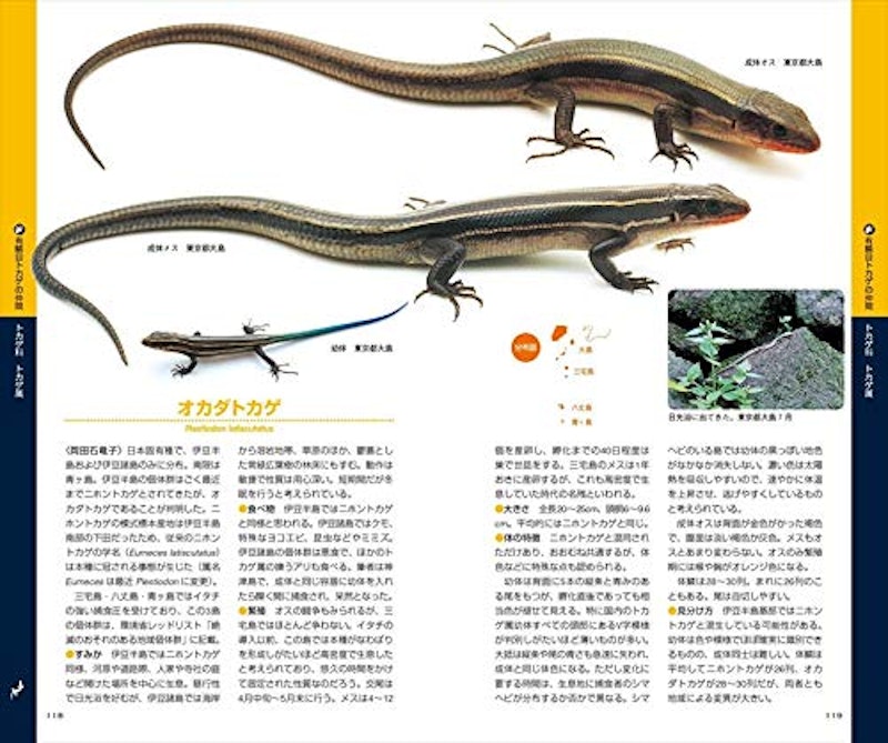 21年 爬虫類図鑑のおすすめ人気ランキング10選 Mybest 21年 爬虫類図鑑のおすすめ人気ランキング10選 Mybest