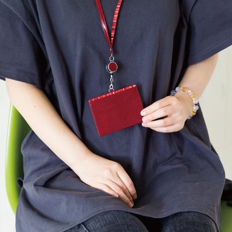 ACCENT BORDER ID Card Holder 6