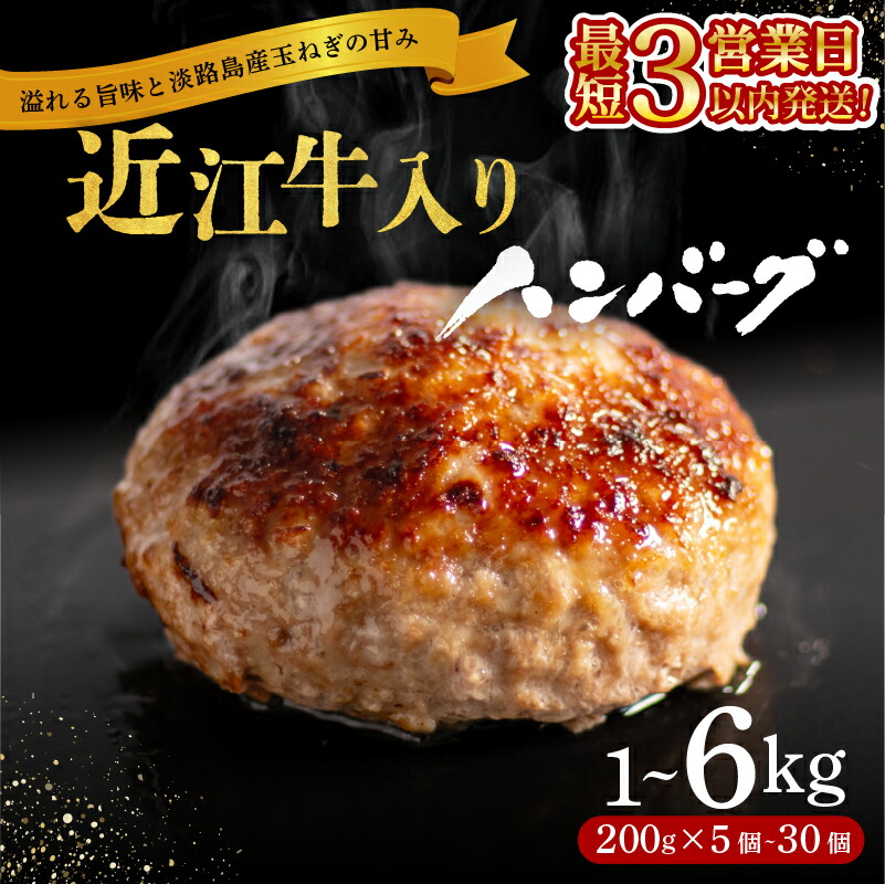  近江牛入りハンバーグ 1