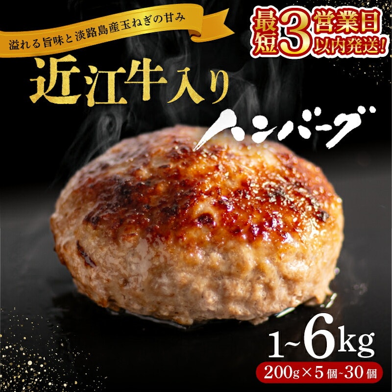 近江牛入りハンバーグ 1