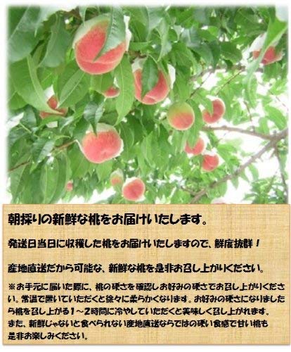 山梨県産 白鳳 白桃 4