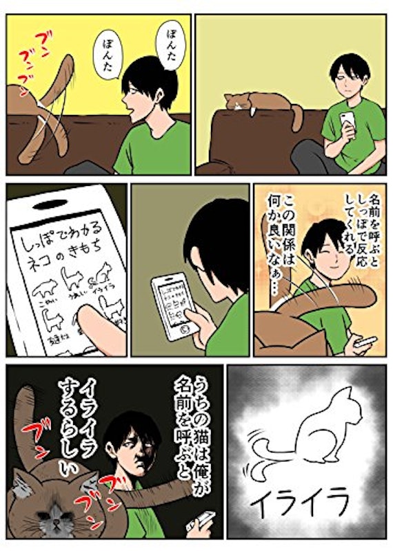 鴻池剛と猫のぽんた ニャアアアン! 6
