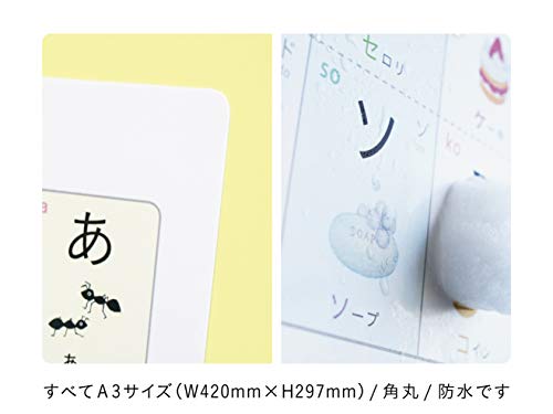 アンシャンテの学習ポスター4枚セット 8