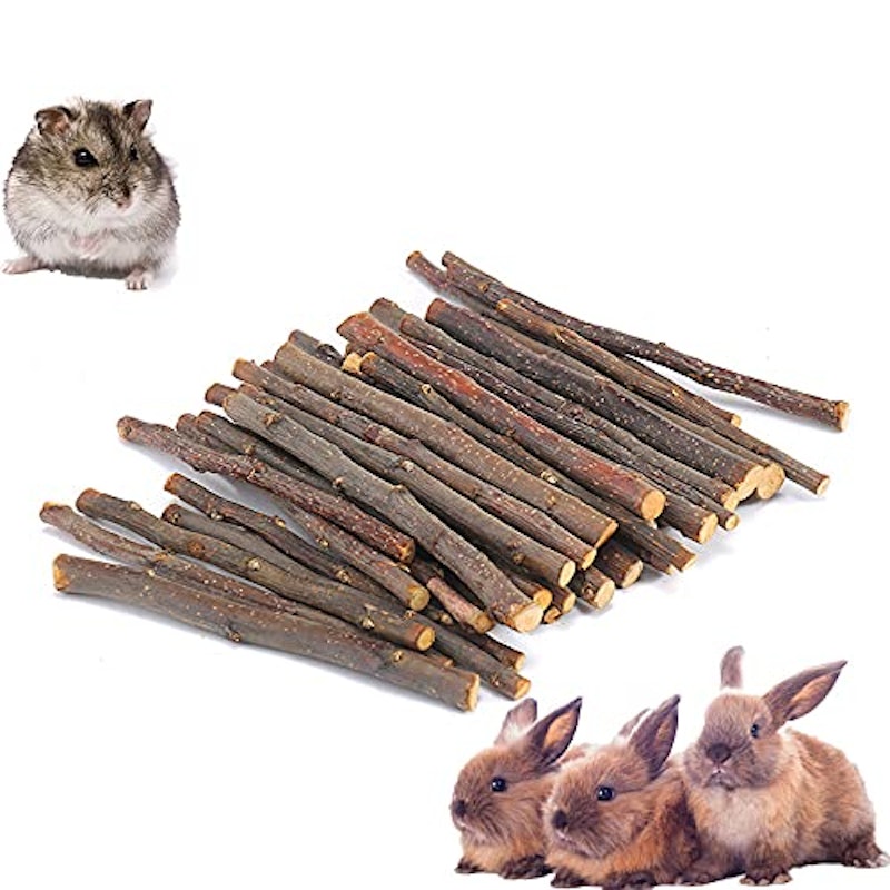 りんごの木 1