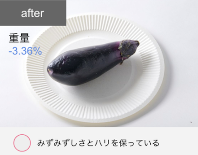 162L 冷凍冷蔵庫 14