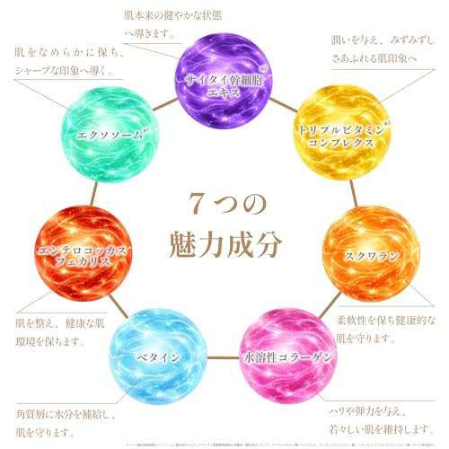 シマウマセラム 3