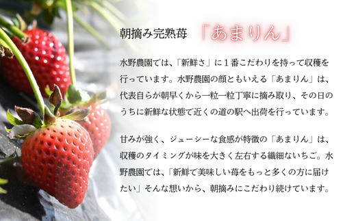 完熟朝摘み あまりん 3