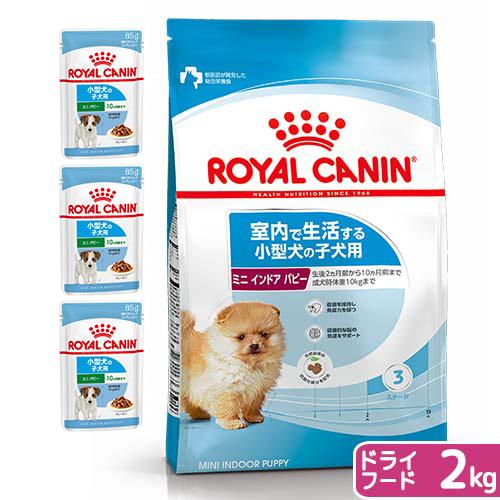 ロイヤルカナン 犬用 アミノペプチドフォーミュラ 小型犬用s 3kg