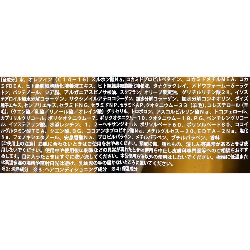モイストシャンプー 2