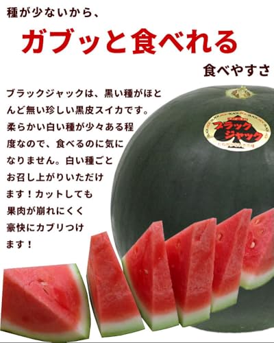 すいか  ブラックジャック 3
