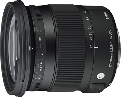 シグマ　ズームレンズ シグマ、同社初のAPS-Cミラーレス用ズームレンズ「18-50mm F2.8 DC DN