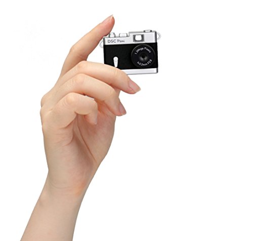 トイカメラ DSC Pieni  6